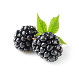 Blackberry Balsamic Reserve Vinegar