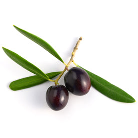 Organic Koroneiki Extra Virgin Olive Oil